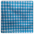 türkis-weiß karierter Baumwollstoff (5mm).JPG